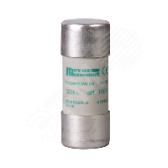 ПРЕДОХРАНИТЕЛЬ ТИП АМ,РАЗМЕР 22Х58.80А | DF2FA80 | Schneider Electric - артикул DF2FA80