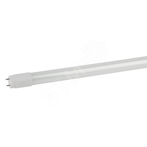 Лампа светодиодная LED 10 Вт 1000Лм 6500К трубка, стекло холодный G13, поворотный 170-265В LED T8-10W-865-G13-600mm Standart - ЭРА (Энергия света)