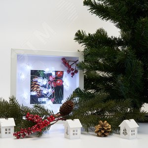 Гирлянда линейная Прищепки LED 5000К 4.5 м USB - фото 3